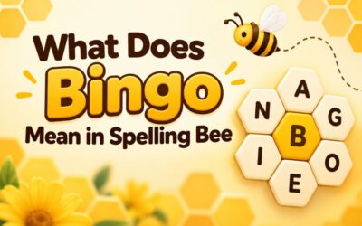 What Does Bingo Mean in Spelling Bee?