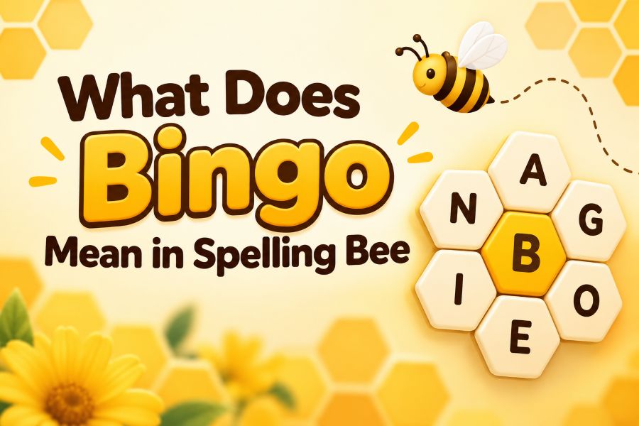What Does Bingo Mean in Spelling Bee